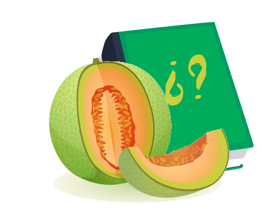 opinion demasiado inteligente para ser feliz abro melon